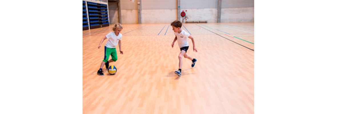 branches-sport2-vangiersbergen.jpg